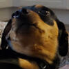 brian_b_07